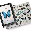 O Colecionador (Capa Dura)